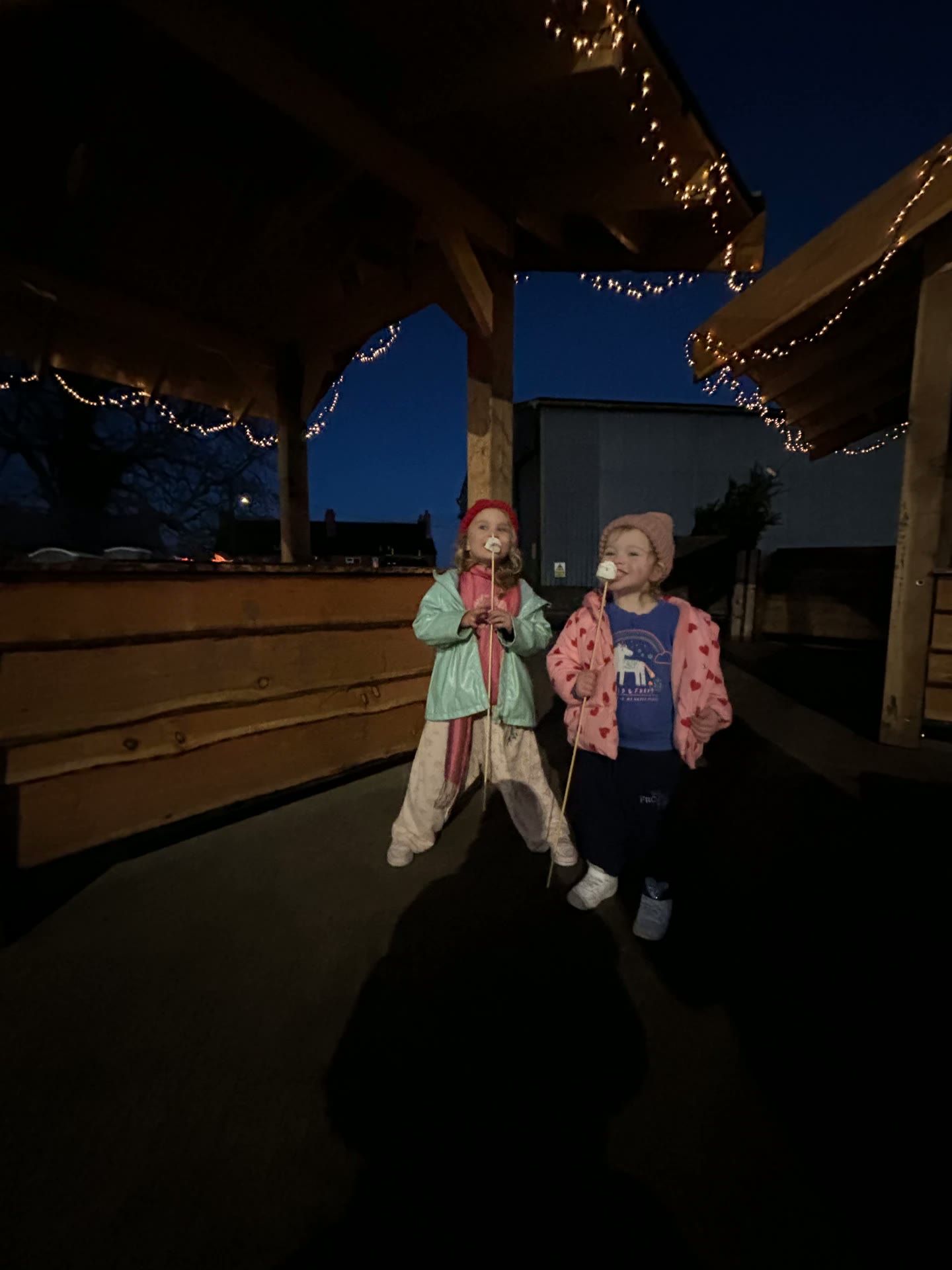 Children toasting marshmallows under the fairy lights at the food cabin