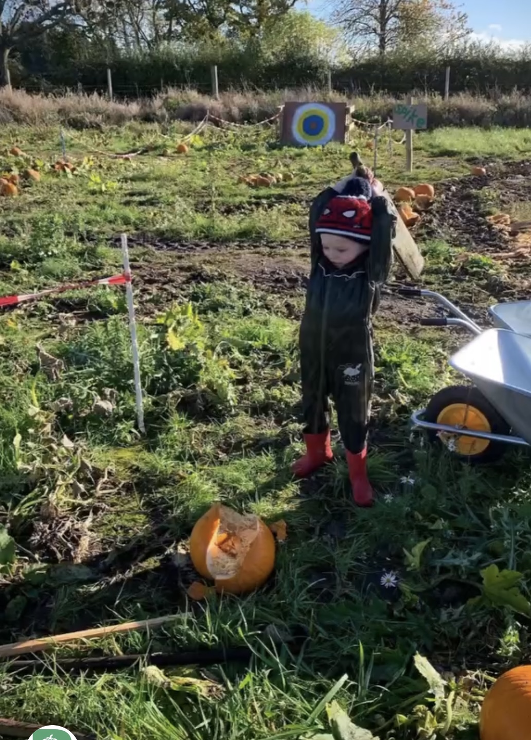 Children enjoying Smash Day at Rymans Pumpkins