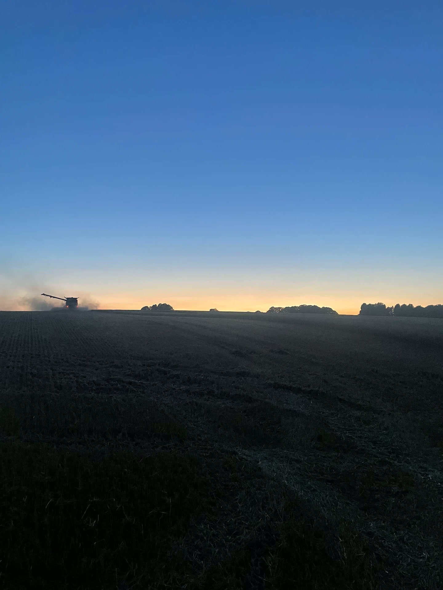 Rymans Farm countryside at golden hour