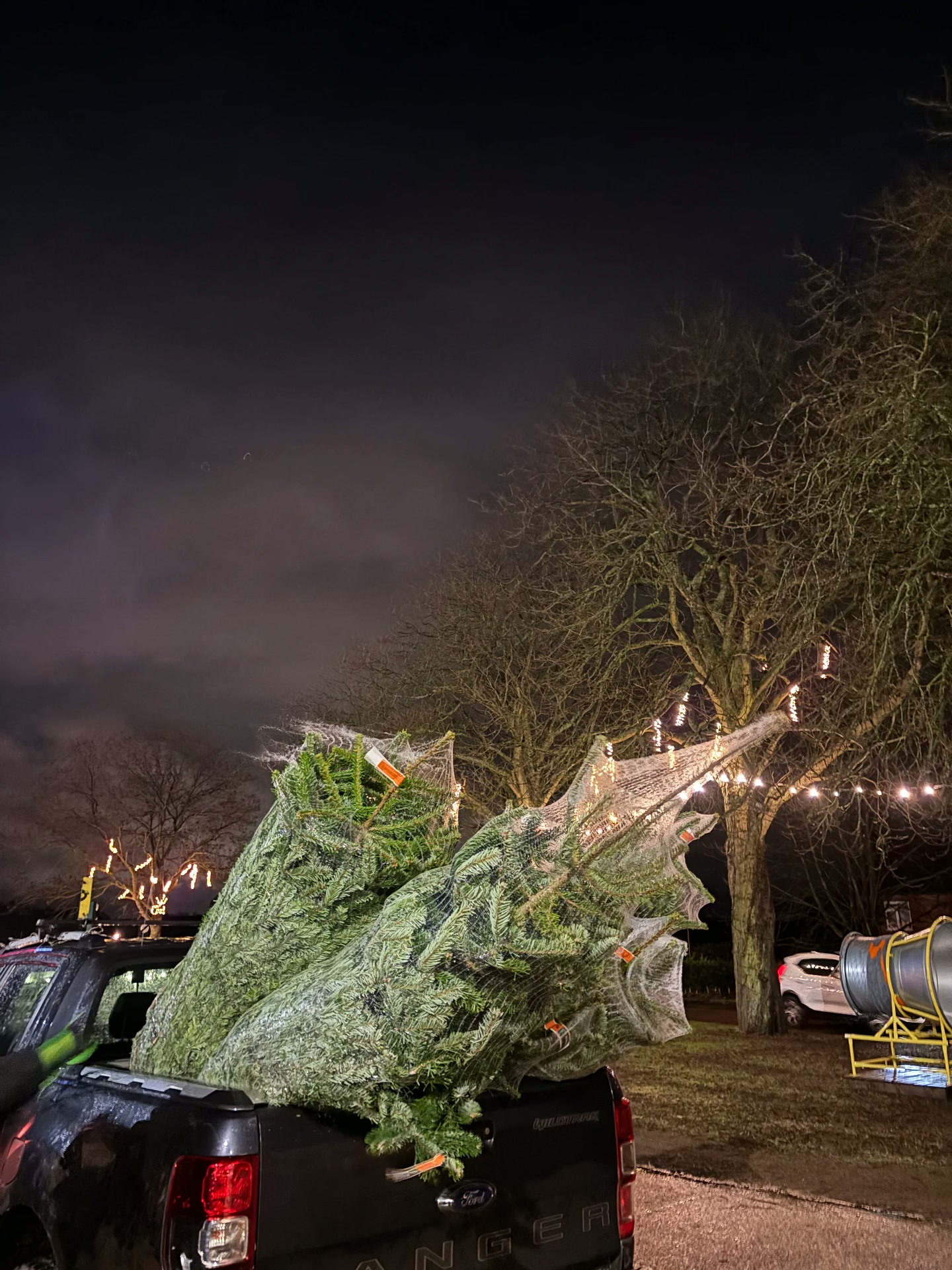 Christmas trees loaded for local delivery at Rymans Farm